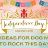 Brilliant 4th July Gift Ideas for Dog Moms to Celebrate This Big Day